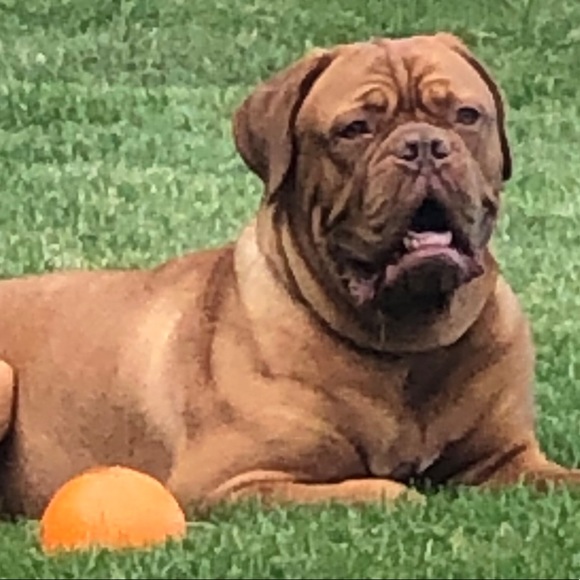 Meet your Posher, Greg - Picture 1 of 2